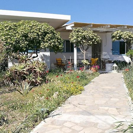 スキロス Anemos Seaside Houseヴィラ エクステリア 写真