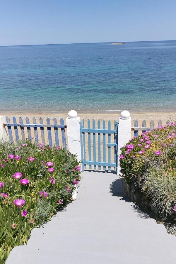 スキロス Anemos Seaside Houseヴィラ エクステリア 写真